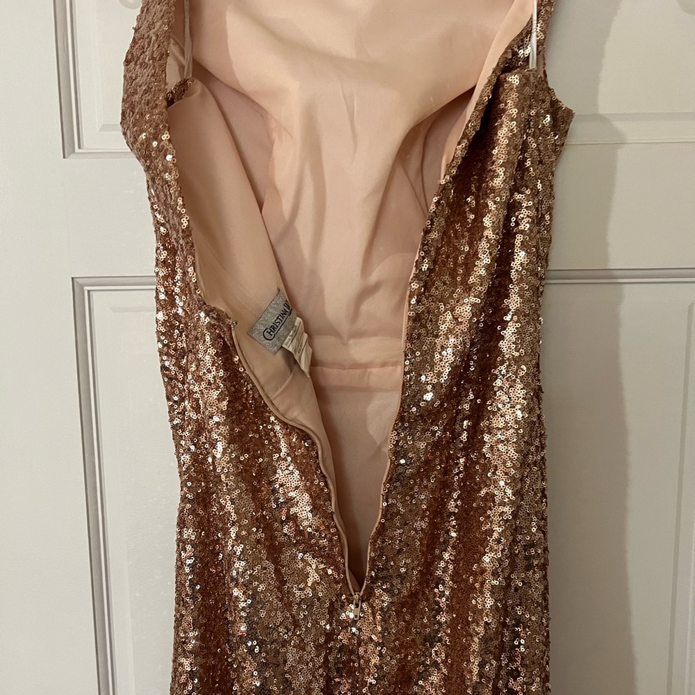 Christina‎ Wu Celebration Gown - Picture 6 of 15